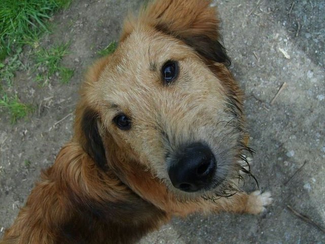 barry