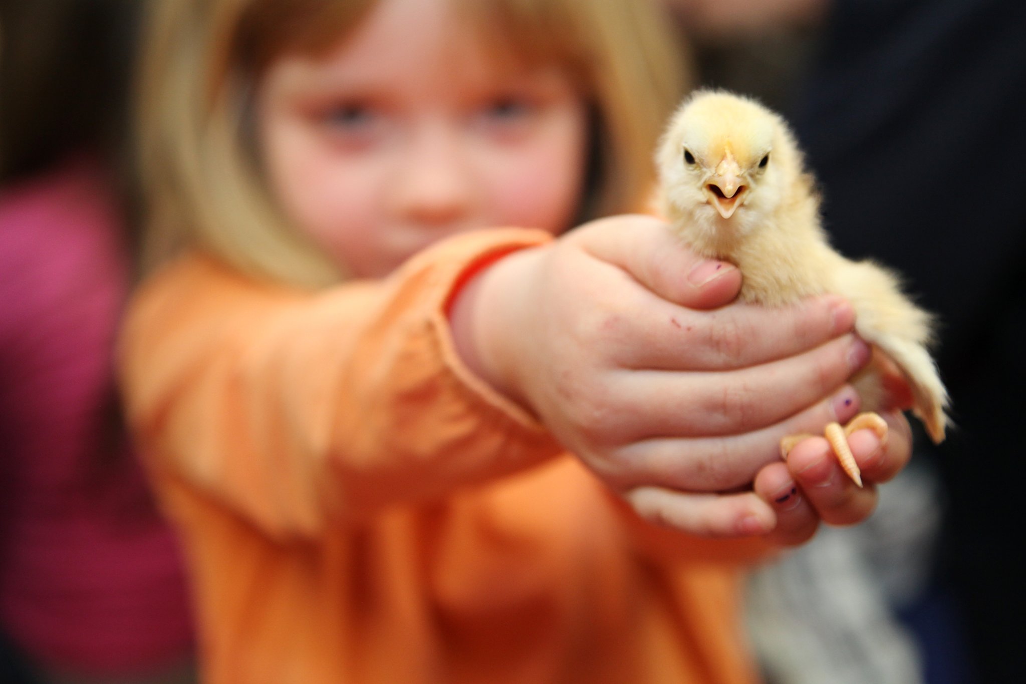 Kuschelige K ken Besuchen Kindergarten L nen