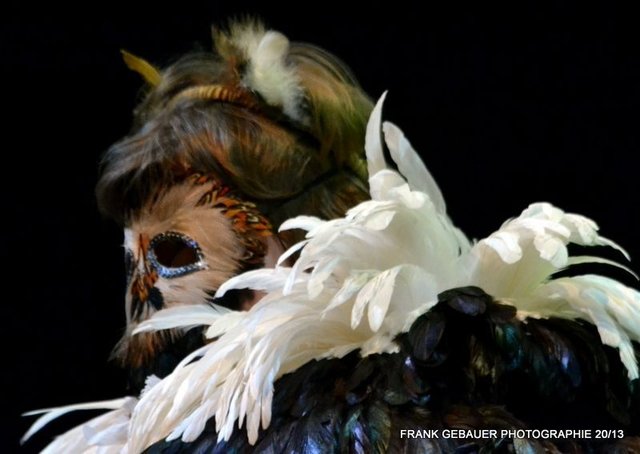 die singende Eule | Foto: Frank Gebauer