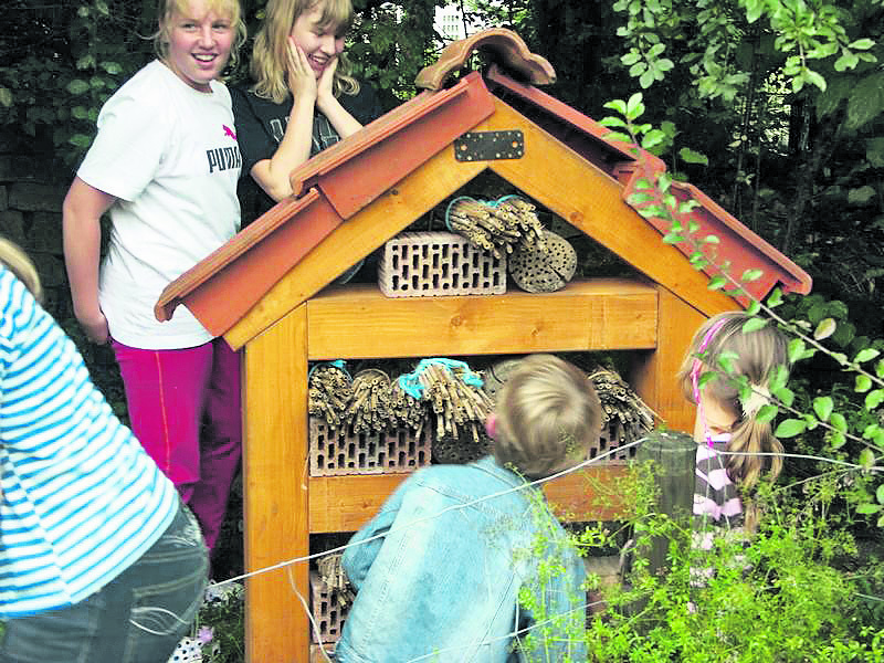 Seit drei Jahren bietet im Ökogarten der Tierschutzjugend ein Wildbienen-Hotel den nützlichen Hautflüglern Unterschlupf. Bald steht eine Renovierung an. Jetzt erst einmal ist Schmetterlingsschutz angesagt. Foto: Tierschutzjugend