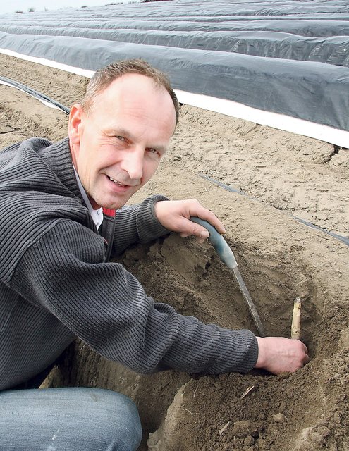 Auf Spargelstecher Andreas wartet bald wieder eine Menge Arbeit. Foto: Thiele