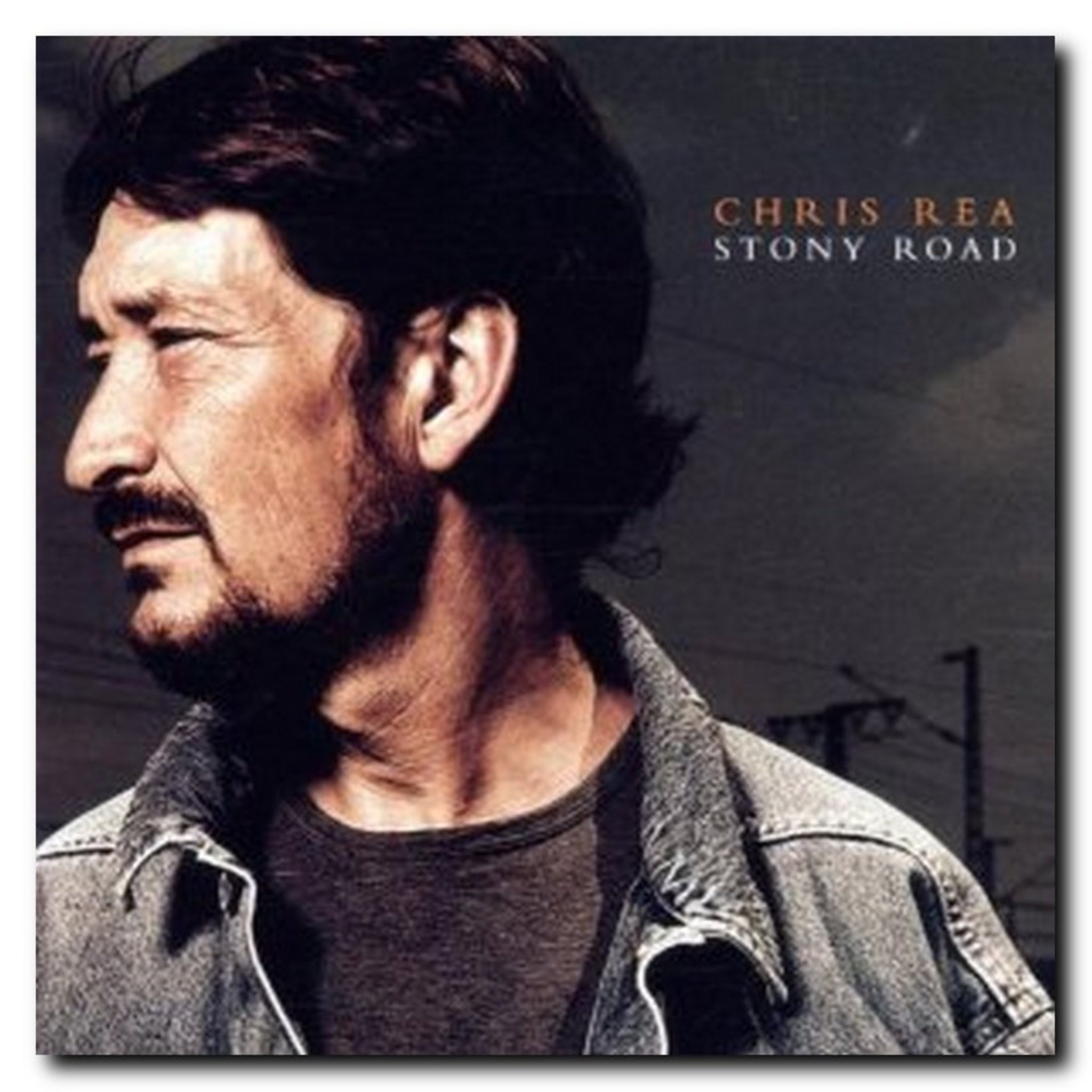 Chris Rea " Stony Road " Lünen