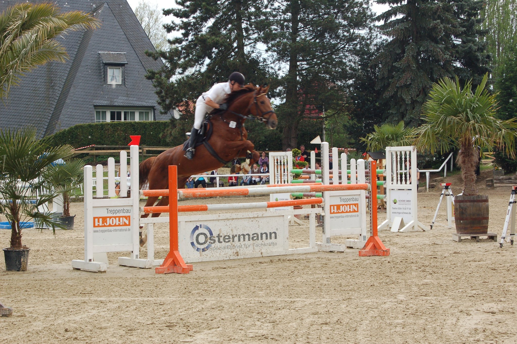 40j hriges Jubil umsturnier Feiert Der Reitverein Castrop Rauxel