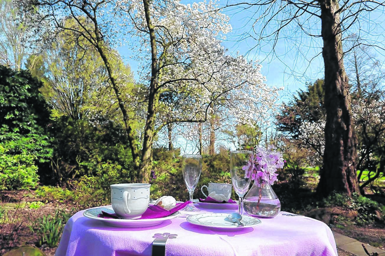 Ein Frühstück für zwei in traumhafter Kulisse. Das lässt sich ab sofort an den Wochenenden im Arboretum Trautmann an der Aktienstraße 177 genießen.