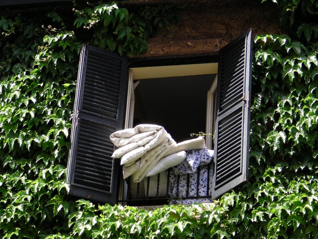 Römische Fenster und ihre Folgen - Essen-Ruhr