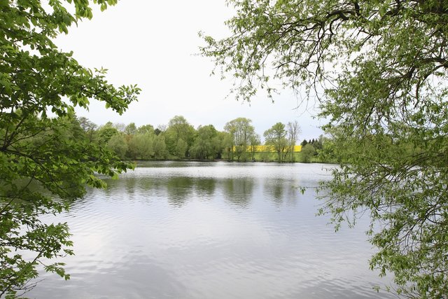 Abtskücher Teich 14.5.13 EssenSteele