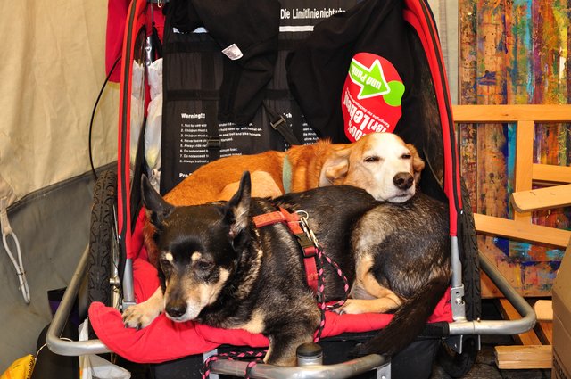 Aktionstag 100% (er)Leben