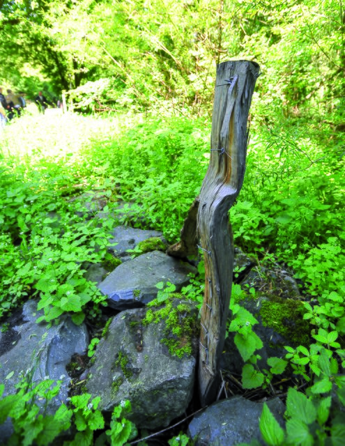 Reste eines Zaunes. | Foto: PR-Foto Köhring/PK