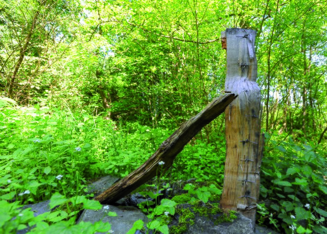 Reste eines Zaunes | Foto: PR-Foto Köhring/PK