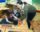 Integrationshelferin Dunja Wachtel bei der Arbeit mit den Schülern im neuen Förderraum. Das Montessori-Material mit seinem Aufforderungscharakter spricht alle Kinder an - mit und ohne Handicap.