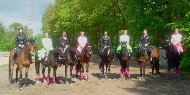 Nadine Patsch mit Ethernal Chicaro, Carolin Bertling mit Ricardo Julia Pelzer Ravellina, Meike Rüß mit Famous Diamond, Stephanie Scheffran mit Dark Da Vinci, Elsken Bernds mit Sharreu, Julia und Vivian Bode mit Leon und Mi Amor