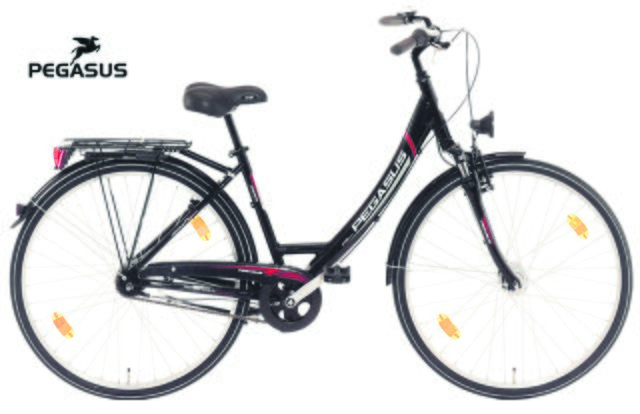 Auch Maries schwarzes Rad, das diesem ähnlich sieht, ist verschwunden: Marke Pegasus, Typ Avanti. Das Fahrrad hat einen nicht originalen silberfarbenen Kettenschutz.
