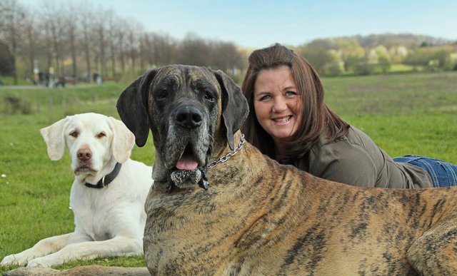 Sam, Fynn und Sabine - zusammen sind sie SaFySa.