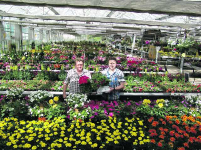 Der Blumenhof Bienieck, Osterfeldstraße 45, verkauft am morgigen Sonntag von 10 bis 13 Uhr seine Produkte zugunsten der Flutopfer. Alle Erlöse fließen auf ein Spendenkonto. Unser Bild zeigt Seniorchef Richard Bienieck und seinen Sohn Patrik.