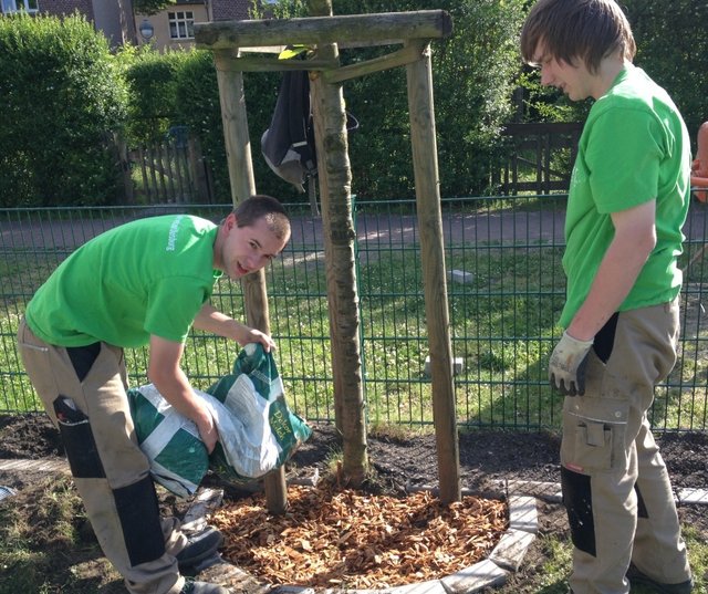 Mit etwas Rindenmulch sieht das Ganze schon prima aus... | Foto: Duisburger Werkkiste