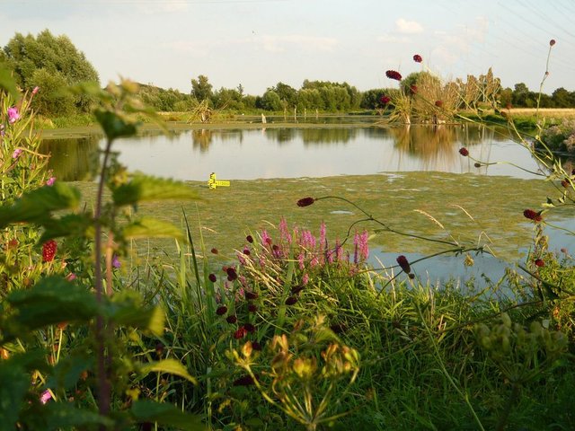 Naturschutzgebiet Schwafheimer Meer