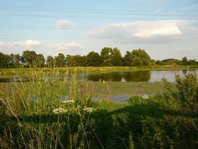 Naturschutzgebiet Schwafheimer Meer