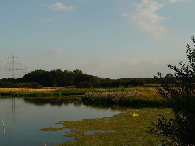 Naturschutzgebiet Schwafheimer Meer