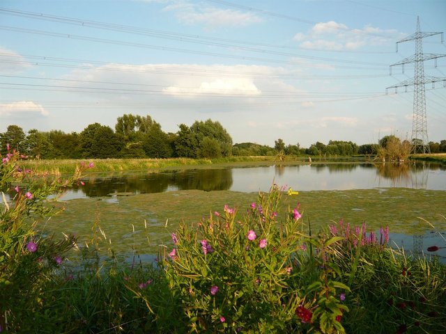 Naturschutzgebiet Schwafheimer Meer