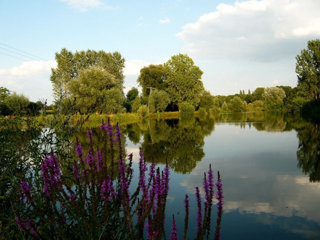 Biotop Duisburg-Rumeln