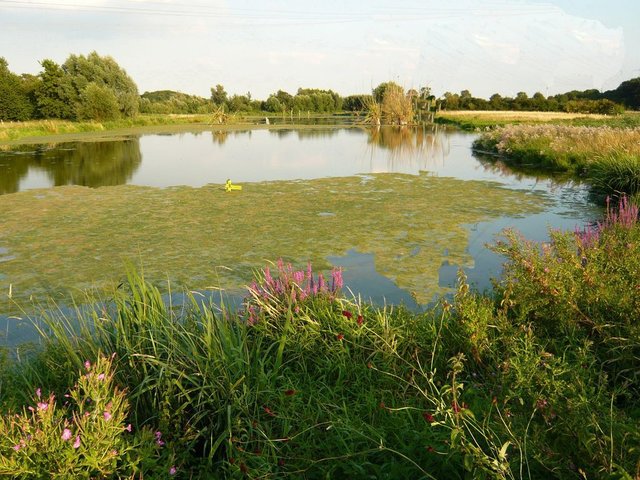 Naturschutzgebiet Schwafheimer Meer