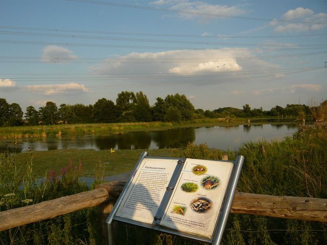 Naturschutzgebiet Schwafheimer Meer