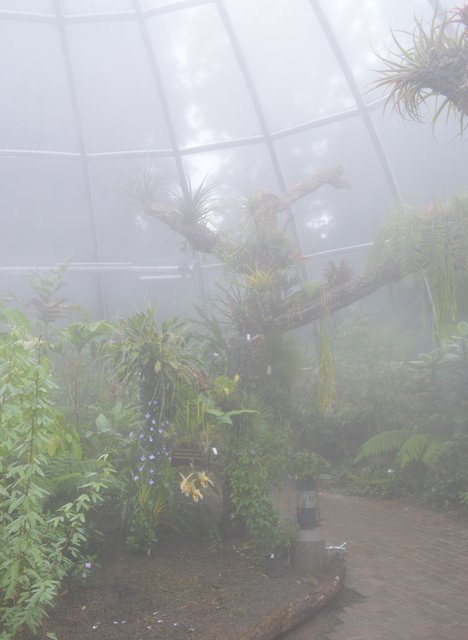 Streifzug durch die Tropenhäuser des Botanischen Gartens der