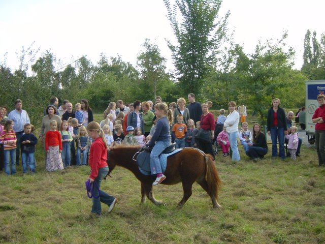 Ponyreiten zum sonntäglichen Kinderprogramm