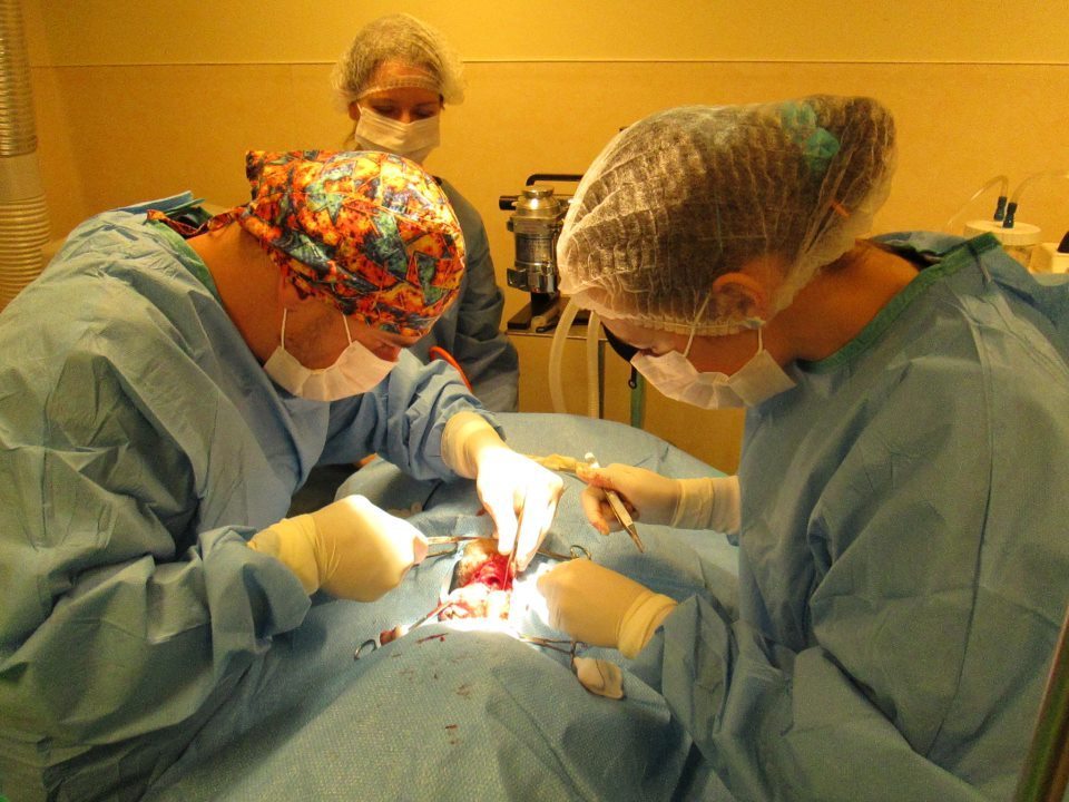 Dr.Stefan und sein Team