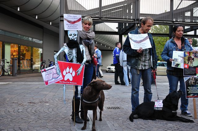 Mahnwache am 18.09.2013 für die Strassenhunde in Rumänien.Foto:Kurt Gritzan