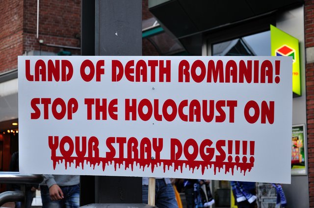 Mahnwache am 18.09.2013 für die Strassenhunde in Rumänien.Foto:Kurt Gritzan