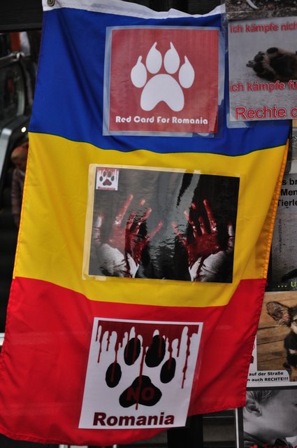 Mahnwache am 18.09.2013 für die Strassenhunde in Rumänien.Foto:Kurt Gritzan