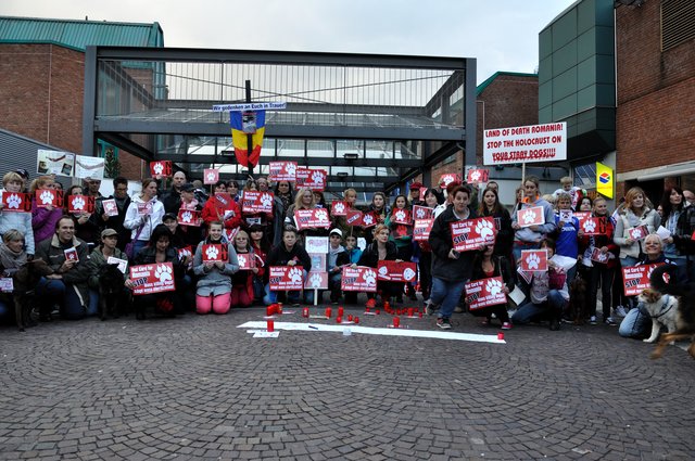 Mahnwache am 18.09.2013 für die Strassenhunde in Rumänien.Foto:Kurt Gritzan