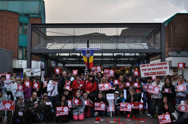 Mahnwache am 18.09.2013 für die Strassenhunde in Rumänien.Foto:Kurt Gritzan