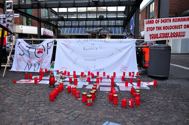 Mahnwache am 18.09.2013 für die Strassenhunde in Rumänien.Foto:Kurt Gritzan