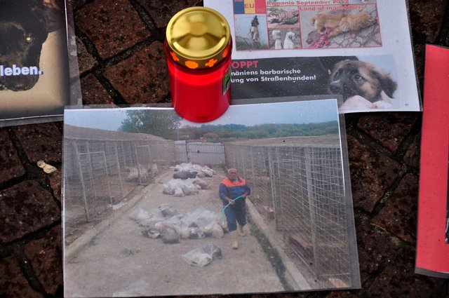 Mahnwache am 18.09.2013 für die Strassenhunde in Rumänien.Foto:Kurt Gritzan