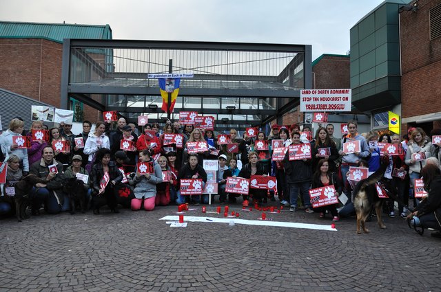 Mahnwache am 18.09.2013 für die Strassenhunde in Rumänien.Foto:Kurt Gritzan