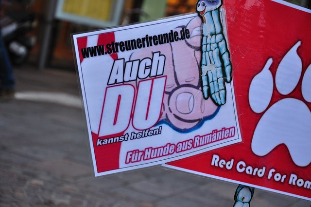 Mahnwache am 18.09.2013 für die Strassenhunde in Rumänien.Foto:Kurt Gritzan