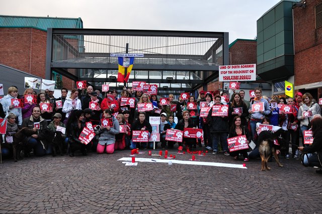 Mahnwache am 18.09.2013 für die Strassenhunde in Rumänien.Foto:Kurt Gritzan