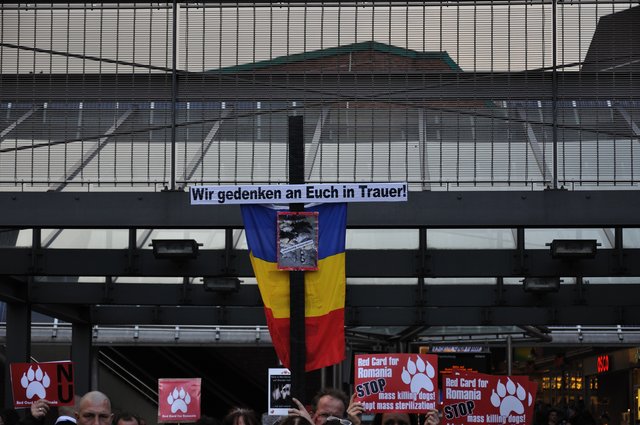 Mahnwache am 18.09.2013 für die Strassenhunde in Rumänien.Foto:Kurt Gritzan