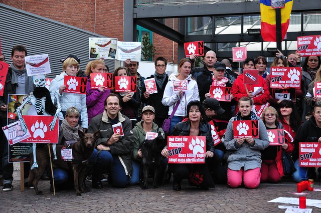 Mahnwache am 18.09.2013 für die Strassenhunde in Rumänien.Foto:Kurt Gritzan