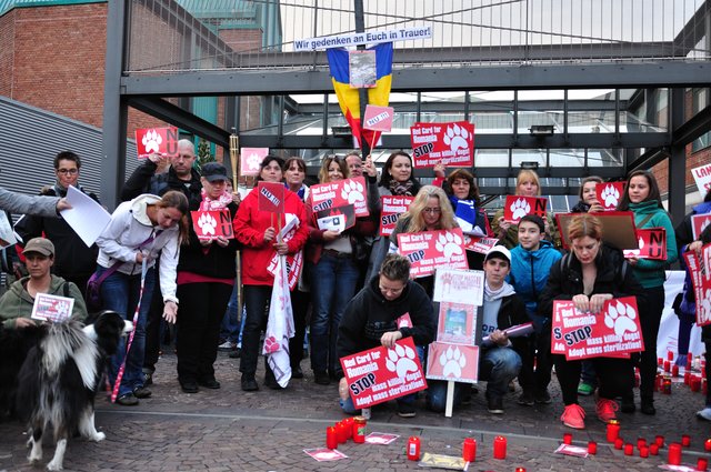 Mahnwache am 18.09.2013 für die Strassenhunde in Rumänien.Foto:Kurt Gritzan
