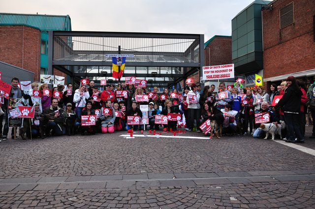 Mahnwache am 18.09.2013 für die Strassenhunde in Rumänien.Foto:Kurt Gritzan