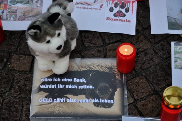 Mahnwache am 18.09.2013 für die Strassenhunde in Rumänien.Foto:Kurt Gritzan