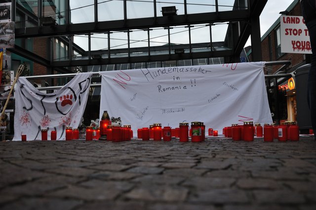 Mahnwache am 18.09.2013 für die Strassenhunde in Rumänien.Foto:Kurt Gritzan