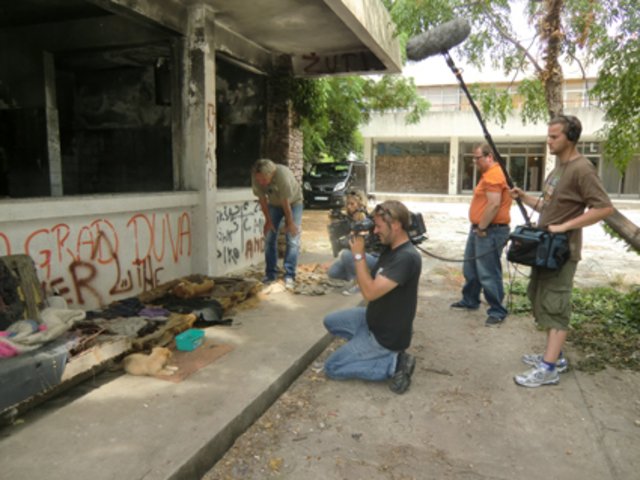 Tiere hausen hier in regelrechten Schicksalsgemeinschaften