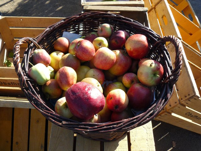 Äpfel aus der Region: Was gibt es Besseres? Foto: B-K