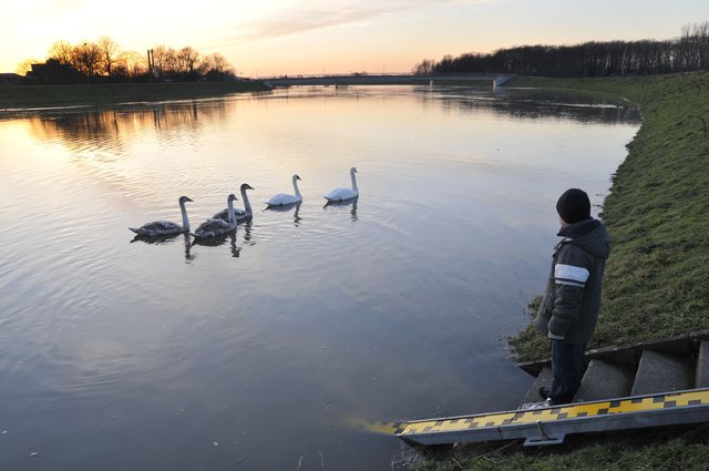Das Wasser in der Lippe wird knapper und wärmer.