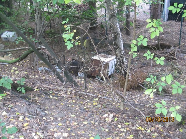 ...leider wird auch der Rheinische Esel als Müllabladeplatz missbraucht