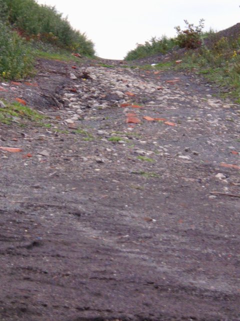 und vielleicht auch einmal den unbequemen Weg gehen, den Steinigen... auch dieser... wird ein Ziel haben...!